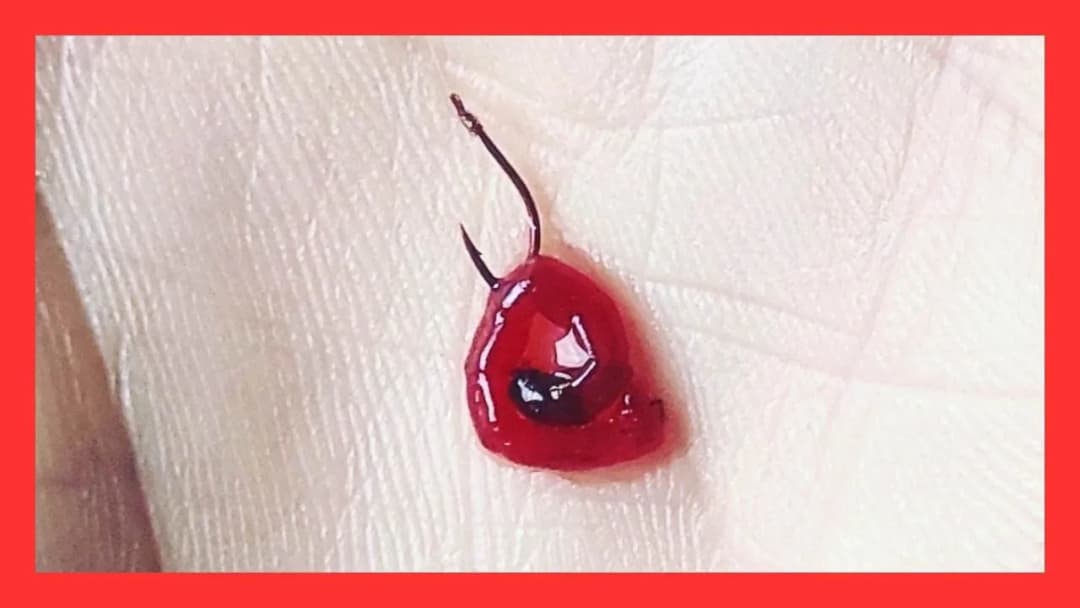 Ochotka na jakie ryby – skuteczne przynęty, które nie zawodzą