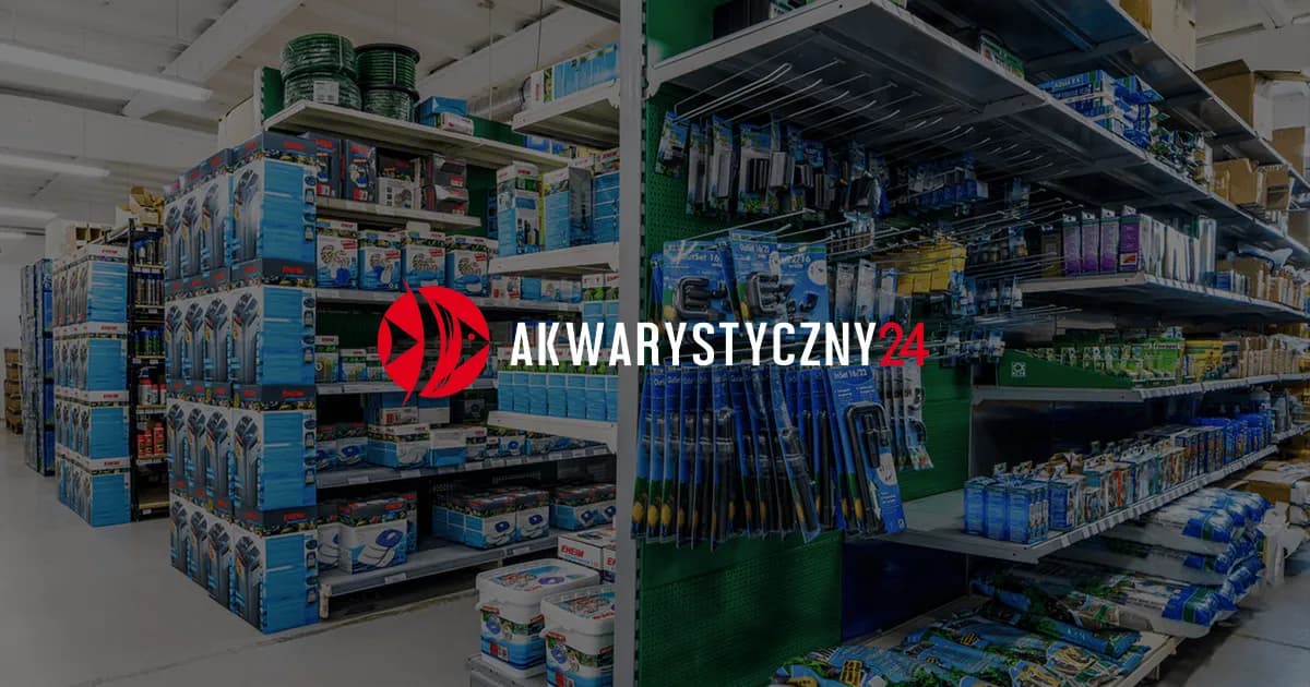 Jak zrobić kryjówki dla rybek - proste sposoby na bezpieczne schronienia