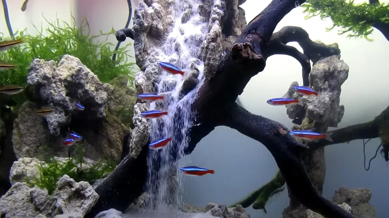 Jak zrobić wodospad w akwarium - proste kroki i cenne wskazówki