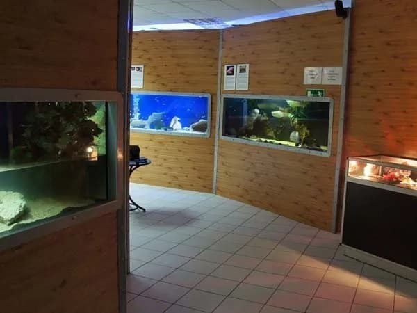 Odkryj fascynujące filmy z oceanarium w Kołobrzegu na YouTube