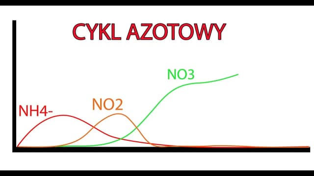 Ile dojrzewa akwarium? Kluczowe czynniki wpływające na czas cyklu