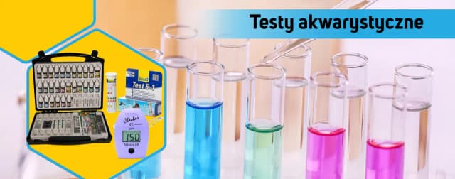 Jakie testy do akwarium słodkowodnego? Kluczowe parametry, które musisz znać