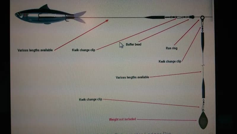 Jak uzbroić martwą rybkę na sandacza, aby nie stracić ryby