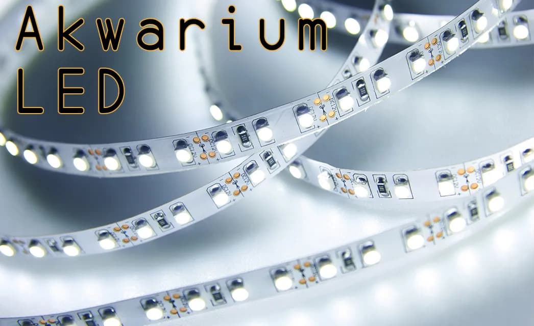 Jak zrobić oświetlenie LEDowe do akwarium - proste kroki i porady