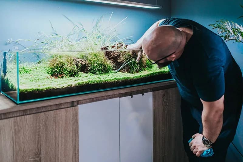 Jak czyścić filtr w akwarium, aby nie zabić pożytecznych bakterii