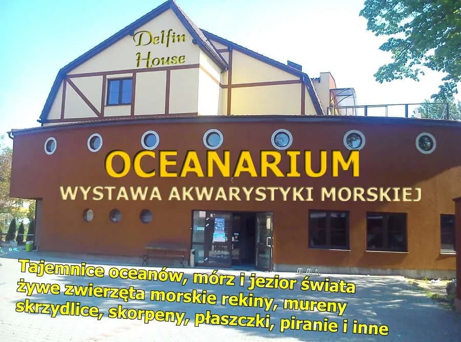 Oceanarium Łeba opinie – co mówią odwiedzający o Delfin House?