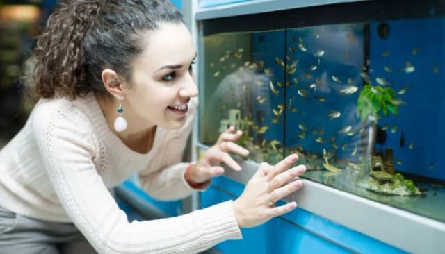 Co jest potrzebne do akwarium? Kluczowe elementy dla początkujących