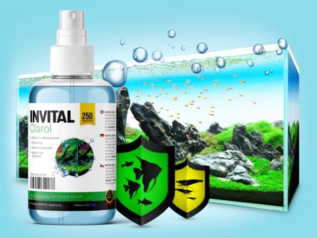 Skuteczne metody na usunięcie kamienia z akwarium bez wysiłku