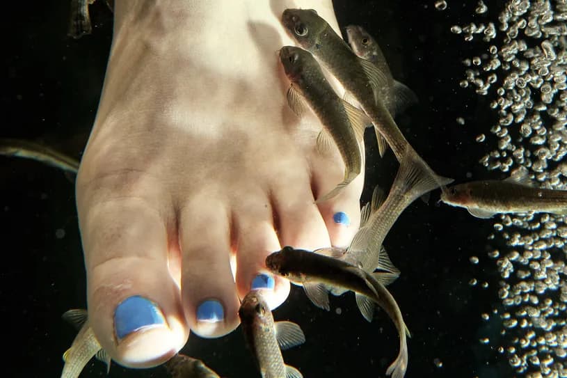 Rybki które zjadają martwy naskórek – sekrety zdrowej skóry i pielęgnacji